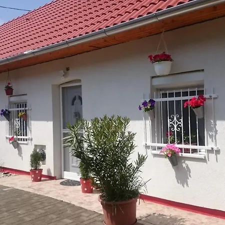 Vendég Kuckó * Kéthely