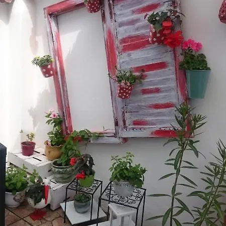 Apartamento Vendég Kuckó *