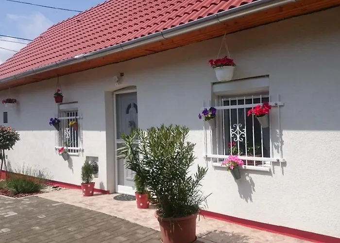 Vendeg Kucko * Kéthely