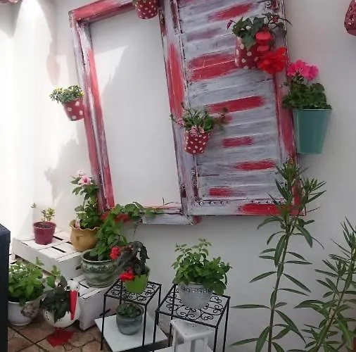 Lejlighed Vendeg Kucko *