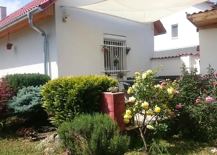 Vendeg Kucko Kéthely